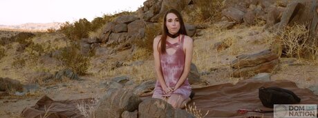 DomTheNation star adult image