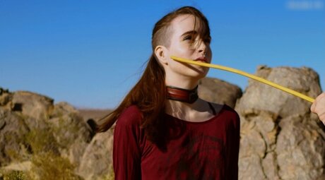 DomTheNation hd model image