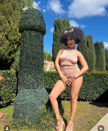 veondremitchell model pics