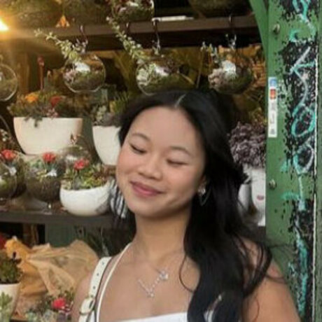 Sa nguyenn hot model img