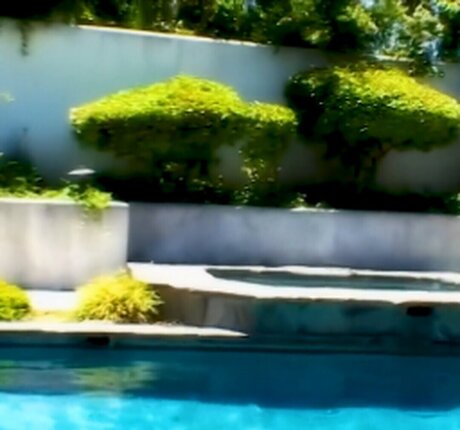 VelicityVon star nice archive