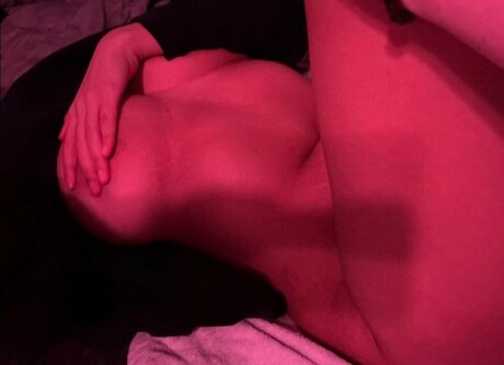 TaigaVS high quality star galleries