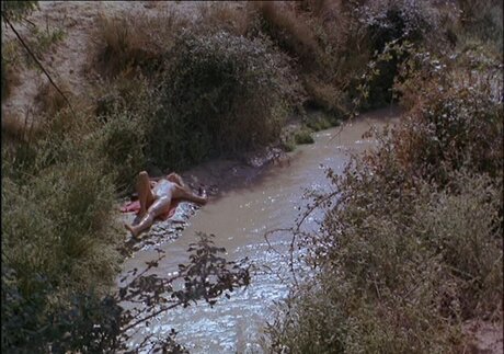 Ellen Barkin porn star img