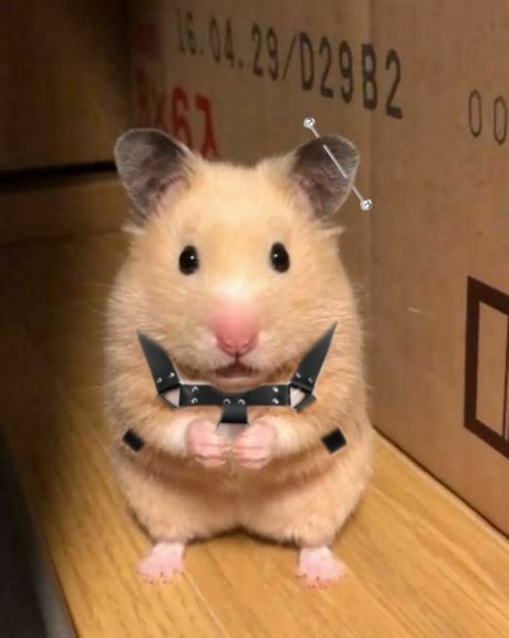 Lan model nudes picture