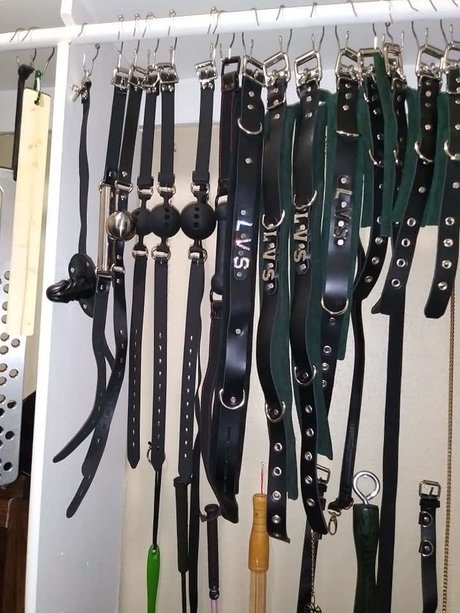 Lady Vanovia Serpentine pornstar nice img