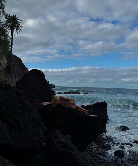 ol sushko high quality star pic