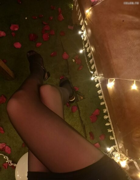 Mytightfashion free pornstar photos