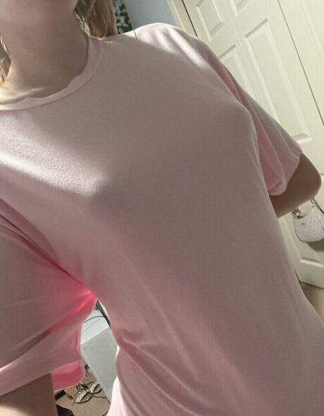 QoR Saige model best img