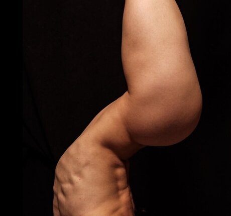 Baemboo free model gallery