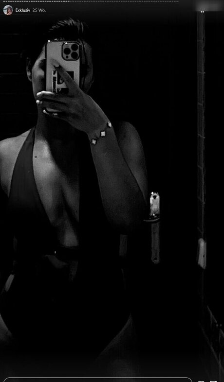 Hedda wmd pornographic model img