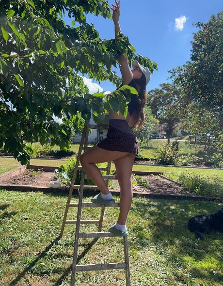 Hedda wmd star perfect galleries