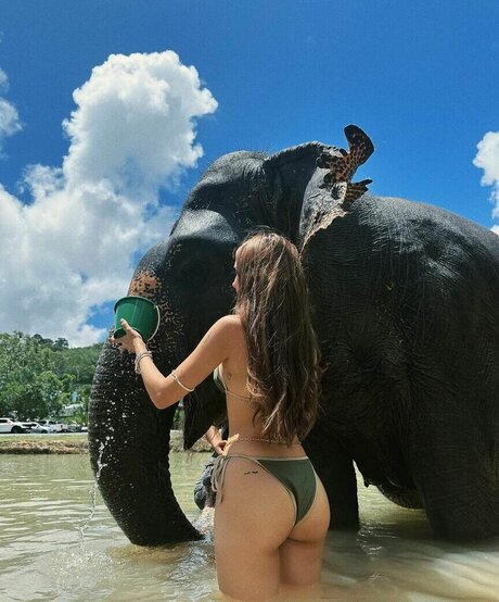 sex asian onlyfans nudes picture