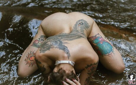 Dinhasun sex star img