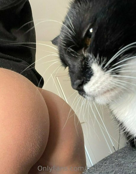 hollymoonvvip adult actress img