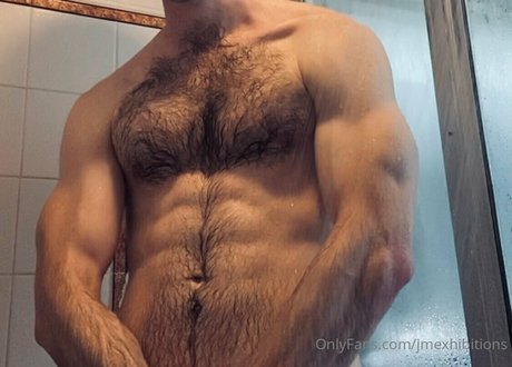 jmexhibitions star beautiful image