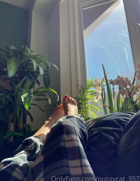 pussycat 357 model nice pic