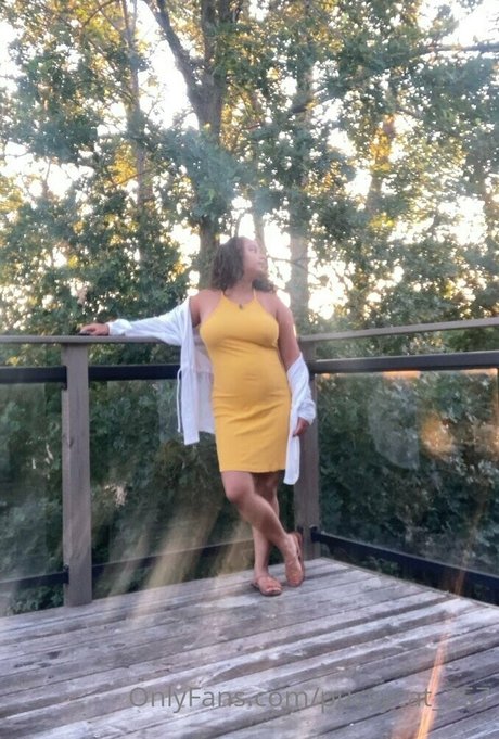 pussycat 357 free star archive