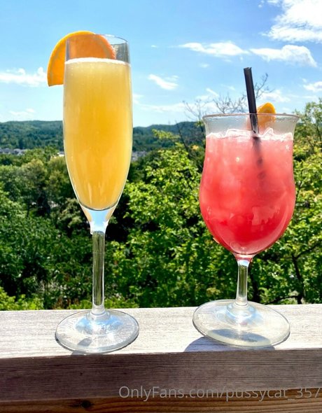 pussycat 357 Quick photo