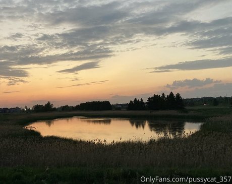 pussycat 357 hot model images