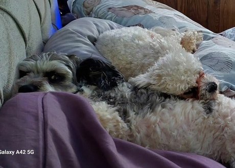 LanaRN high quality model gallery