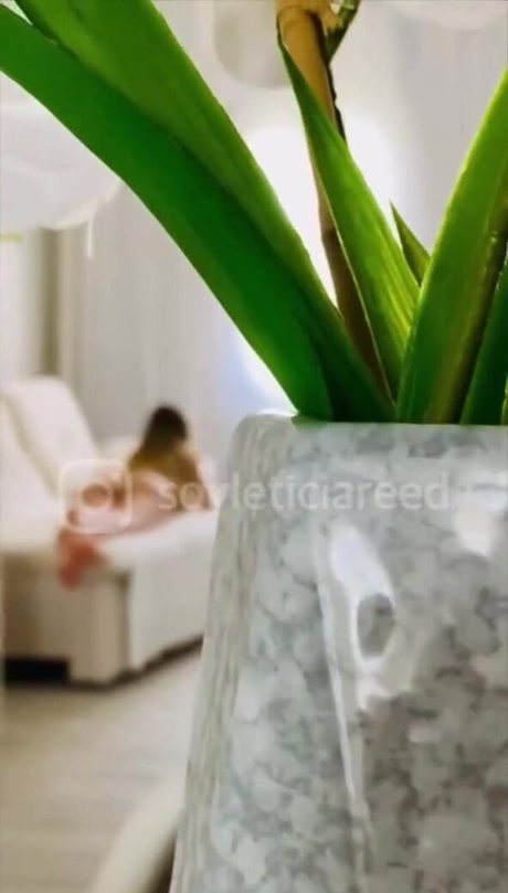 Leticia Reed top star gallery