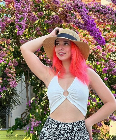 Fairy Elfie perfect star image