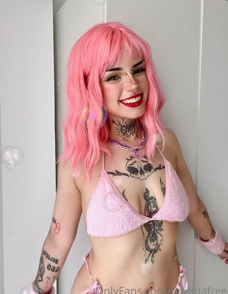 elfsandi star beautiful galleries