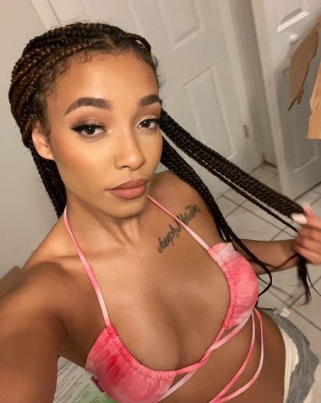 novastar18 star gallery