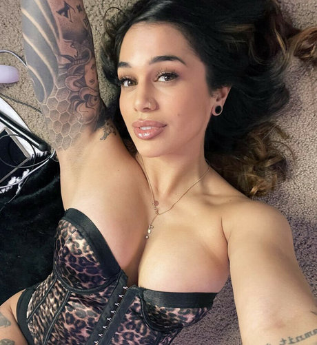 Kodipdx star free photos