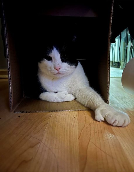 sweet kte star exclusive pic