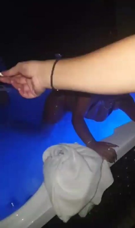 liatosh pornstar nude img