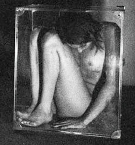 Willa Holland pornstar top pic