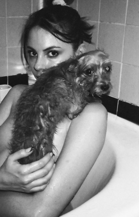 Willa Holland high quality pornstar pic