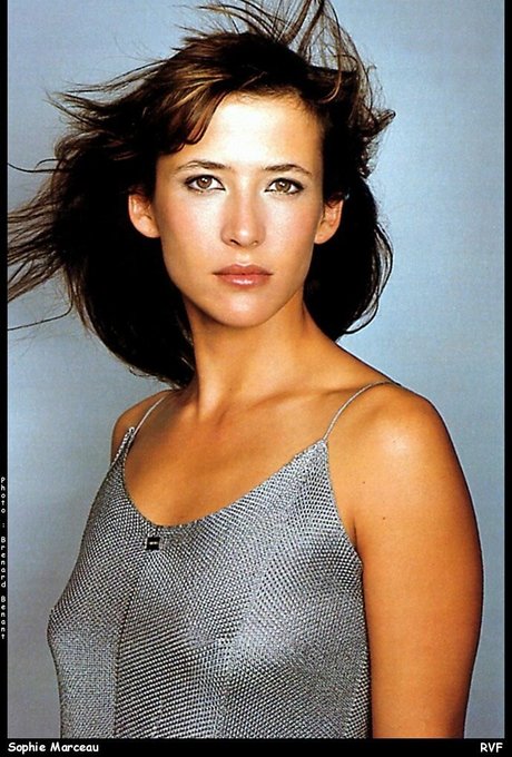 Sophie Marceau pornstar gallery