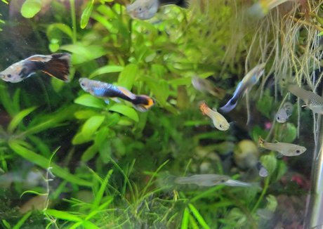 curvy muscle onlyfans free porn image