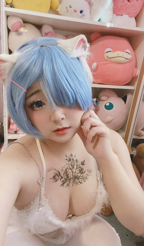 Donutskii model pretty picture