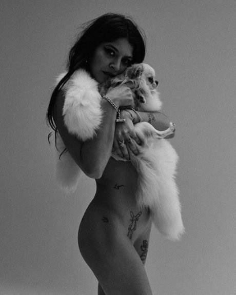 LegallyAged star free image