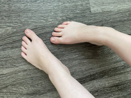 Stellina model best img