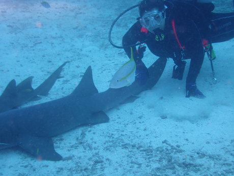 Lily Lane nude star images