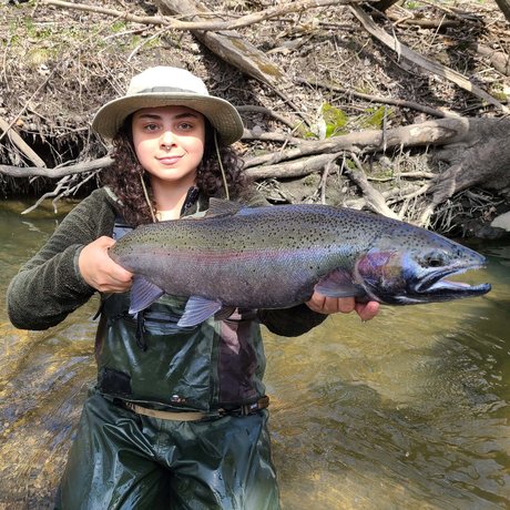 looncaster model porn img