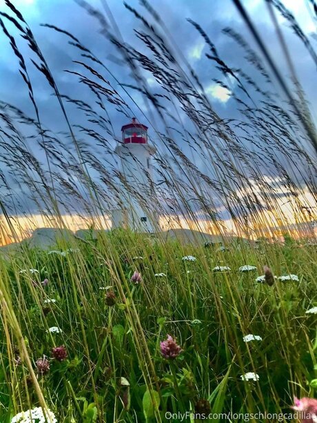 Cadillac nice pornstar galleries