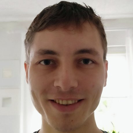 Lustful Pair_ adult actress image