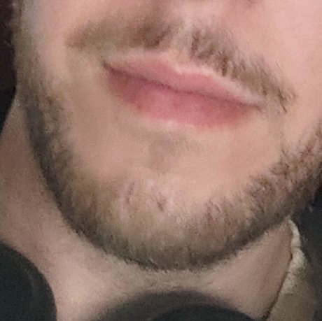 perfect onlyfans top image