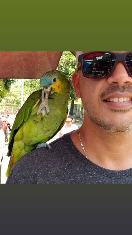 Marcello Rio de janeiro star sex img