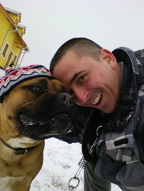 Doggydog art star gallery