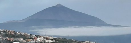 _Monoso_ porn star img