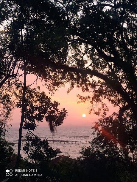 Natane Machado pornstar pretty gallery