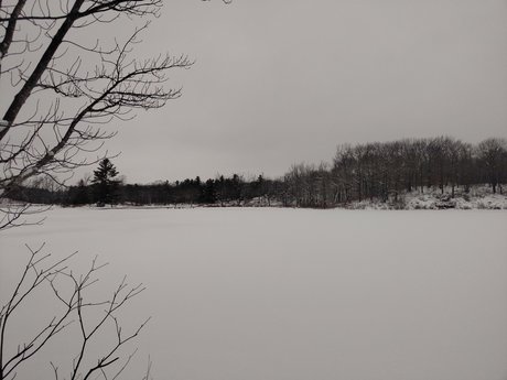 Morningblues girl art model gallery