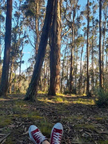 Nicky P pornstar nude images