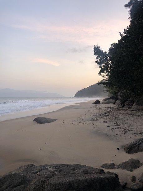 Mir mir pornographic star archive